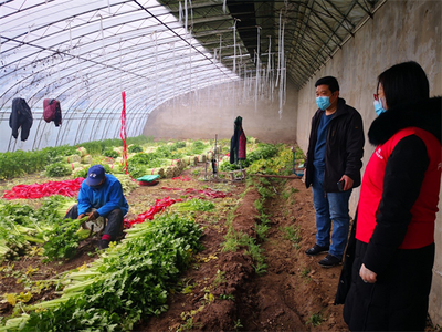 產業(yè)與保險深度融合 人保與首農共抗新冠疫情的新模式落地